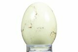 Polished Citron (Lemon) Chrysoprase Egg - Western Australia #312726-1